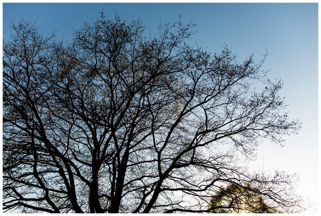 reportage grossesse gemellaire, audrey guyon, photographe famille tours, photos de grossesse