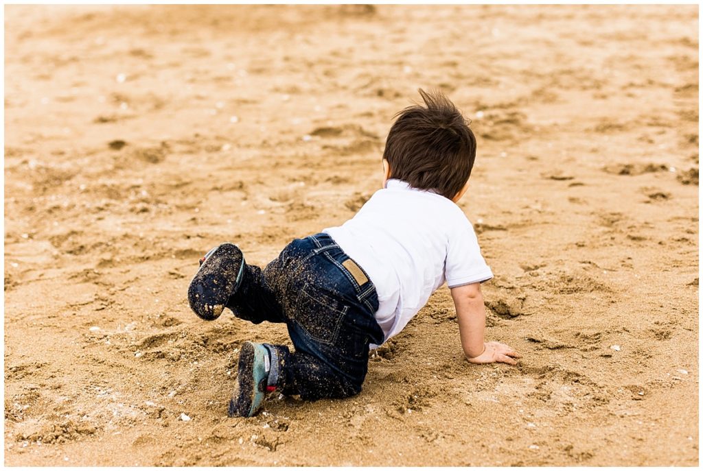 quatre pattes dans le sable