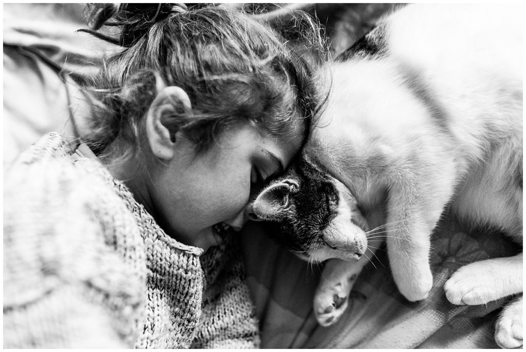 calin avec son chat