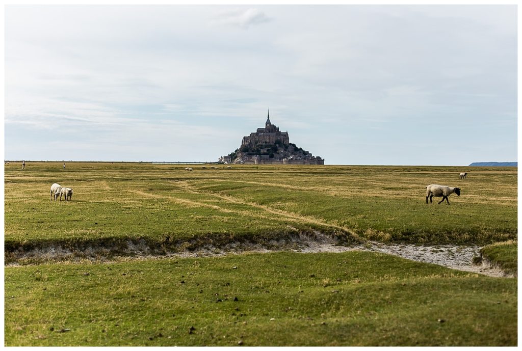 une demande en mariage surprise dans la baie du mont saint michel par audrey guyon photographe