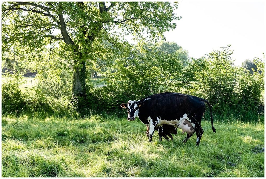 découvrez les photos de couple à la ferme de linda et grégory, par audrey guyon photographe