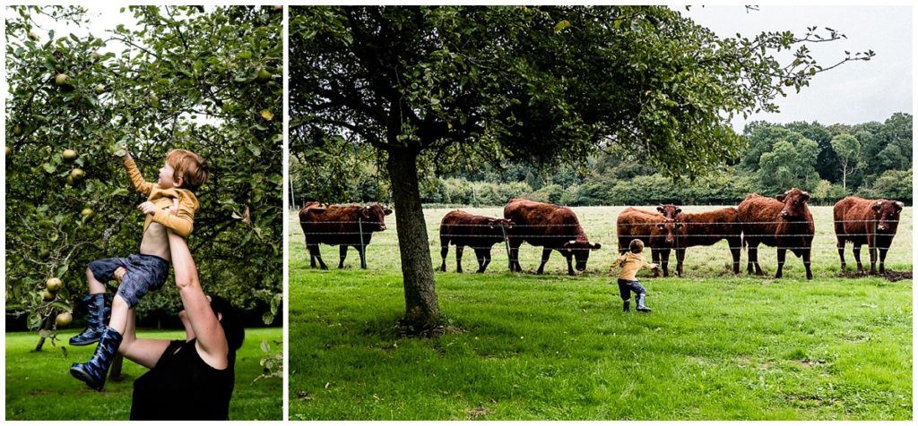 Photographies du quotidien à travers le regard d'Audrey GUYON, photographe en Normandie.