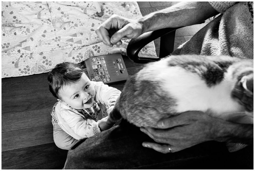 bébé qui tire sur la queue du chat photographie du quotidien